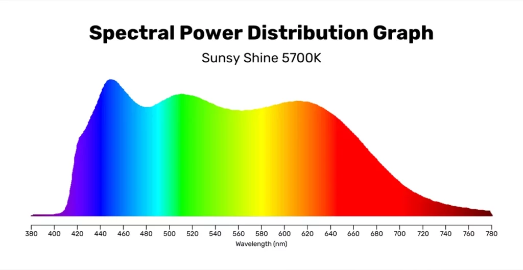 SPD به‌عنوان DNA نور (توصیفی و تحلیلی)